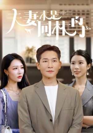 夫妻本是同林鳥(76集)