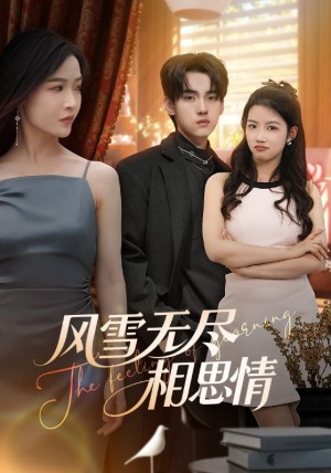 風雪無盡相思情（61集）李珊&詹琸